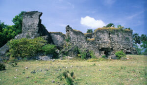 Delft Island: A Timeless Fusion of History, Culture, and Nature