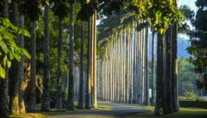 Royal Botanical Gardens, Peradeniya: A Floral Paradise in Sri Lanka