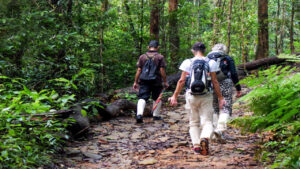 Sinharaja Forest Reserve: A Biodiversity Hotspot in Sri Lanka