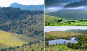 Horton Plains National Park: The Pinnacle of Biodiversity